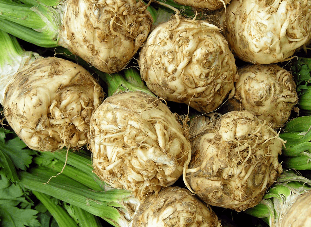 Celery Image1