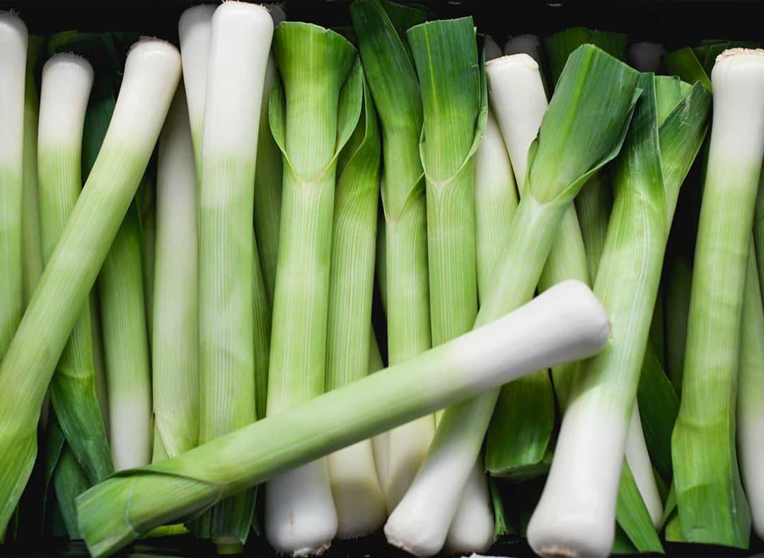 Leek Image1