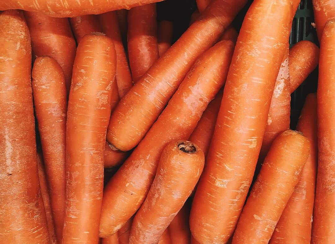 Carrot Image1