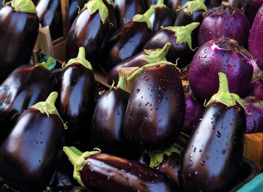 Aubergine Image1