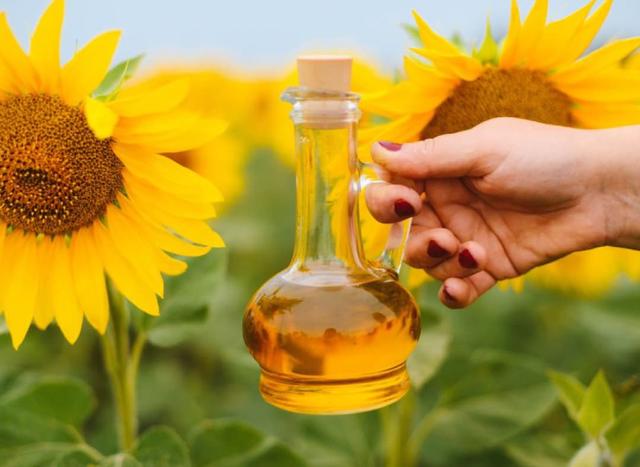 Sunflower Oil