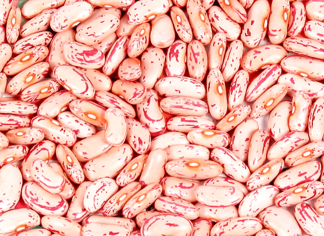Kidney Bean
