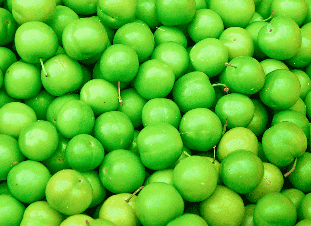 Green Plum Image1