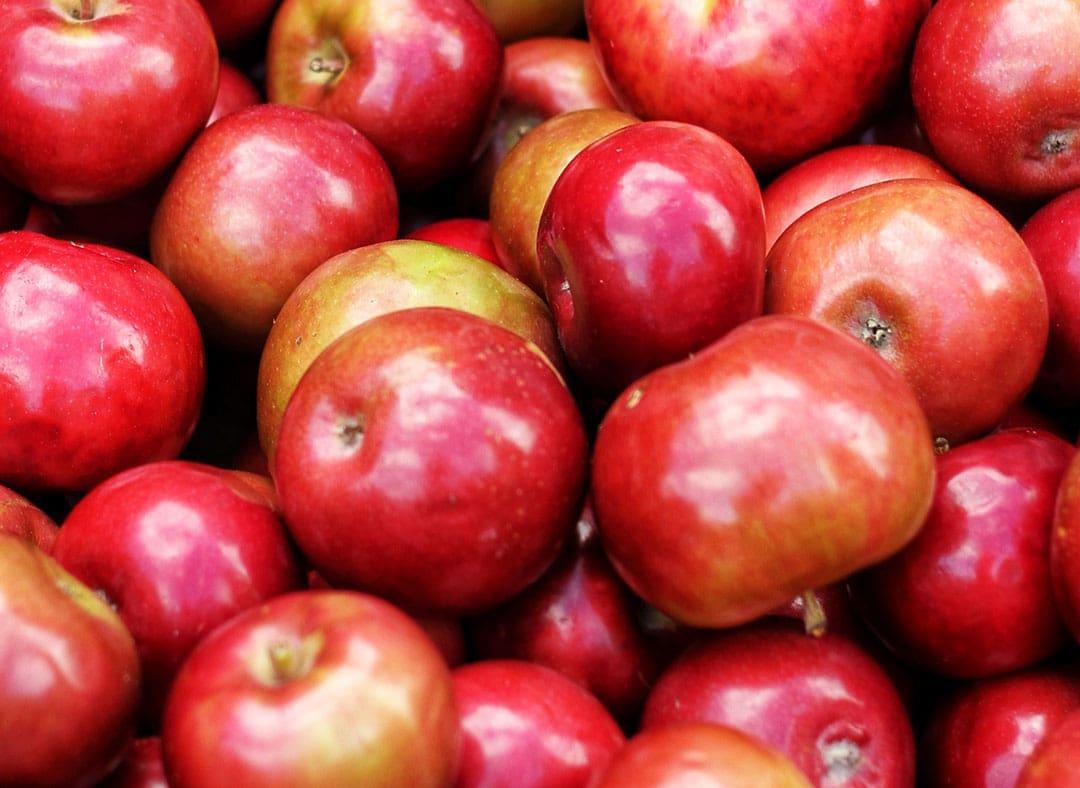Gala Apfel Image1