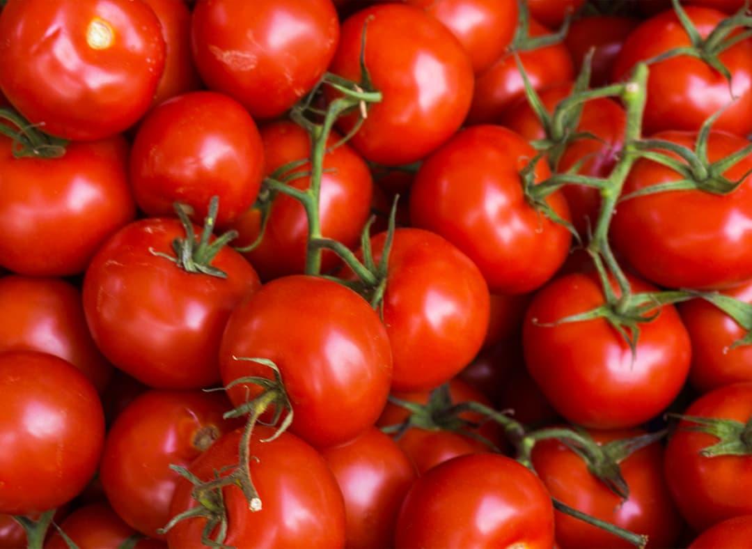 Tomato Image1