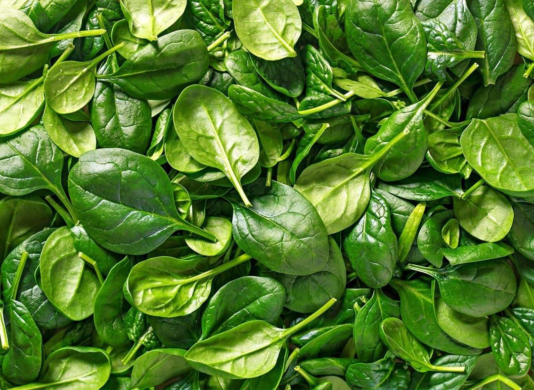 Spinach Image1