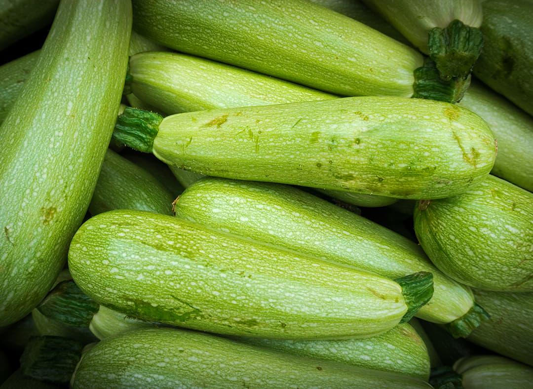 Zucchini Image1