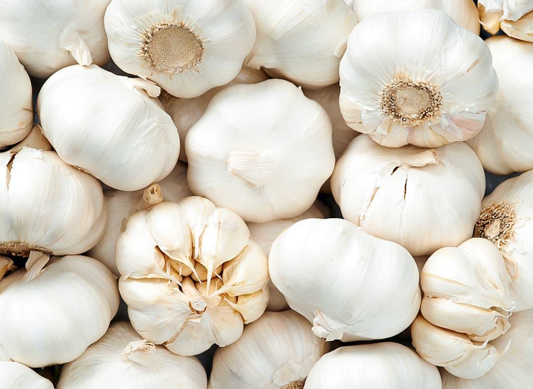 Fresh Garlic Image1