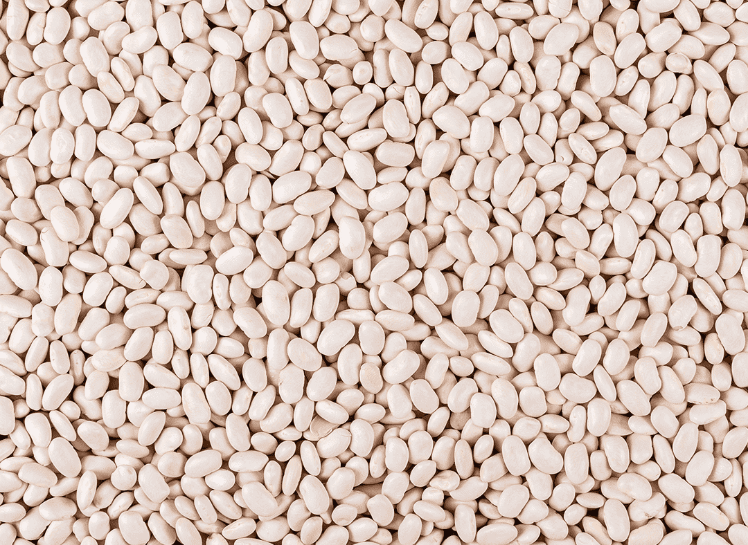 Dried Beans Image1