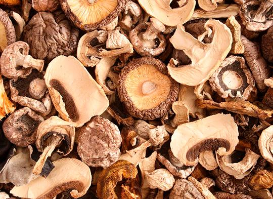 Dried Mushroom Image1