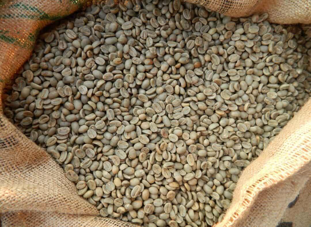 Venezuelan Coffee Beans Image1